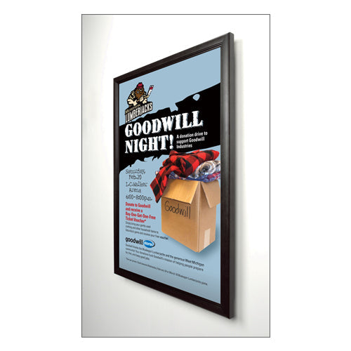 SLIM DESIGN (1 1/8" OVERALL DEPTH) FOR WOOD FRAMES 22x28