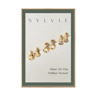 22x34 Poster Frame (Colorful Classic Poster Display SwingFrame)