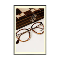 37x57 Poster Frame | Colorful Classic Poster Display SwingFrame in 75 Metal Finishes, 30+ Matboard Colors