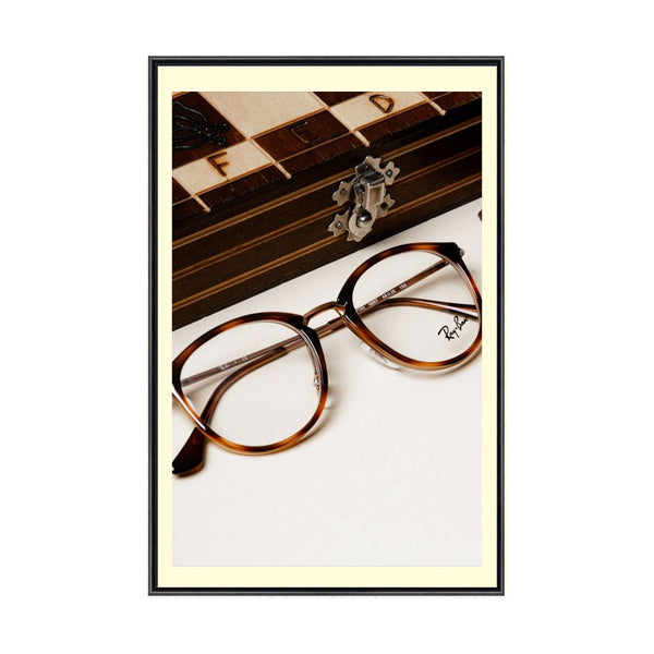 37x57 Poster Frame | Colorful Classic Poster Display SwingFrame in 75 Metal Finishes, 30+ Matboard Colors