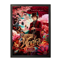 22x34 Metal Frame Movie Poster Display SwingFrames