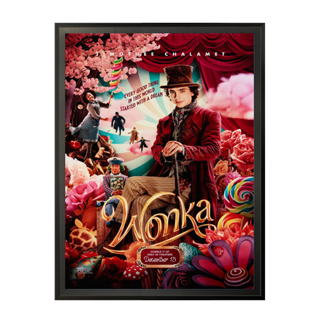 22x34 Metal Frame Movie Poster Display SwingFrames