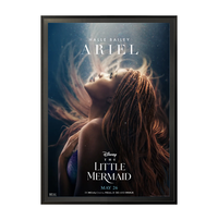 27 x 41 Movie Poster Frame | Classic Metal Framed, Swing Open Poster SwingFrame in 5 Metal Finishes