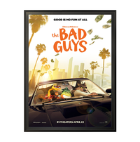 30x40 Metal Frame Movie Poster Display SwingFrames