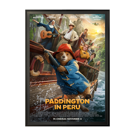 36x48 Metal Frame Movie Poster Display SwingFrames