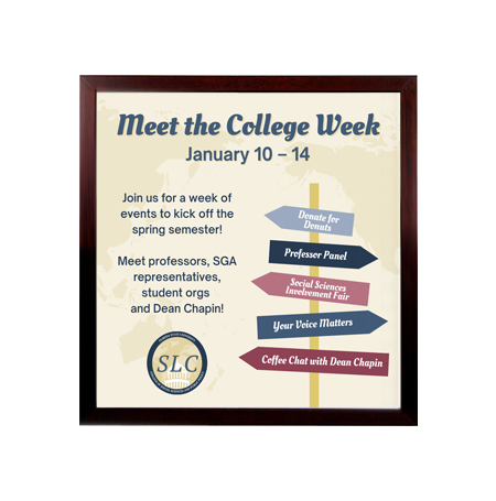 20 x 20 Frames for Posters Wood (362) SwingFrame