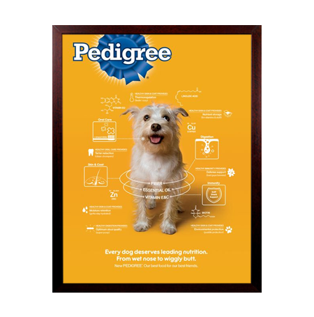 36 x 42 Frames for Posters Wood (362) SwingFrame