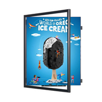 24x48 Poster Frame (SwingFrame Wide-Face Poster Display)