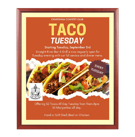 Wood 353 Poster Display SwingFrames 10x12 with Matboard