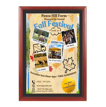 Wood 353 Poster Display SwingFrames 20x30 with Matboard