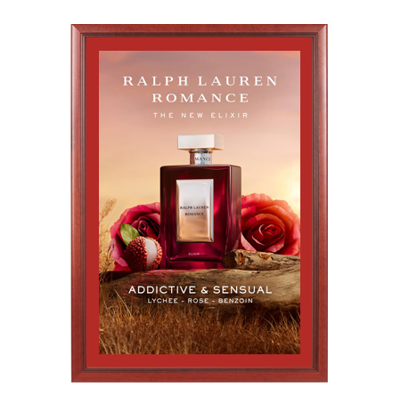 Wood 353 Poster Display SwingFrames 27x39 with Matboard