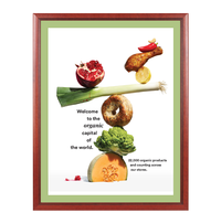 Wood 353 Poster Display SwingFrames 30x40 with Matboard