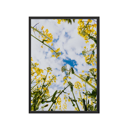 EXTRA DEEP 9 x 12 Poster Snap Frames (1 5/8" Profile for MOUNTED GRAPHICS)