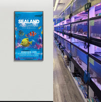 Economical, Quick Change, Large 24x36 Frame, Metal Beveled Slide-in Poster Frame | Top Load or Side Load