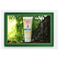 DARK GREEN WOOD FRAME with DECORATIVE WILLIAMSBURG GREEN MAT BORDER