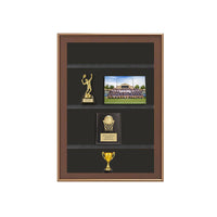 Metal Framed SwingFrame Designer Wall Wooden Display Case 4" Deep with Shelves in 25+ Sizes