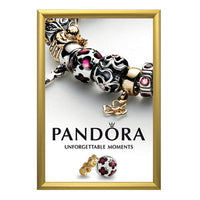 EXTRA DEEP 36 x 36 SECURITY SNAP FRAME in 1 3/4" WIDE FRAME (SHOWN in GOLD FRAME)