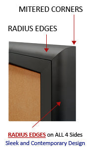 Indoor Enclosed Bulletin Boards 22 x28  with Lights (Radius Edge)