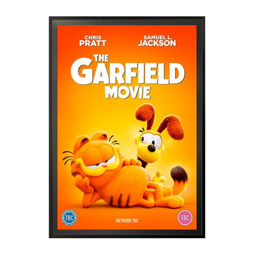 SwingFrame 27x39 Movie Poster Frame | Quick Change, Swing Open Metal Frame