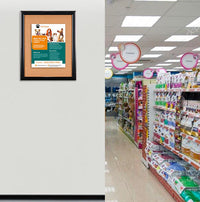 Super Wide-Face 24x36 Enclosed Bulletin Board SwingFrames