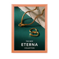 14x22 Wood Frame (353) Poster Display SwingFrames