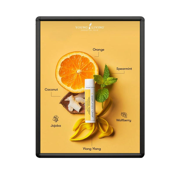 SwingSnaps Poster Snap Frames 11x14 (1" Wide with Radius Corners)