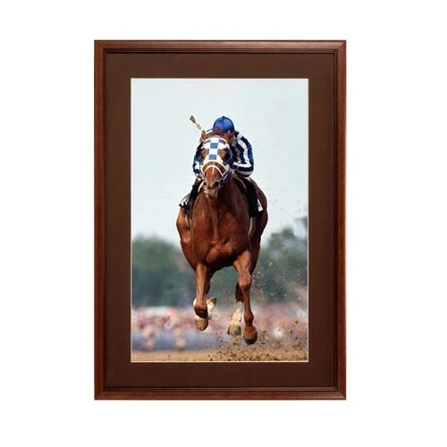 10 x 12 Wood Picture Poster Display Frames with Matboard (Wood 353)