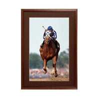 36 x 36 Wood Picture Poster Display Frames with Matboard (Wood 353)