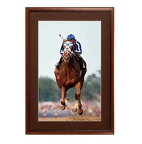 24 x 48 Wood Picture Frame | Poster Display Frame with Matboard and Elegant 3-Step Wood #353 Profile