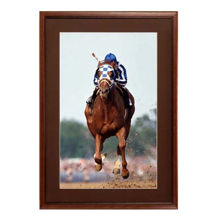 24 x 48 Wood Picture Frame | Poster Display Frame with Matboard and Elegant 3-Step Wood #353 Profile