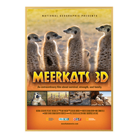 Movie Poster Frame 36x48 with Classic Metal Picture Frames for Posters in 5 Finishes