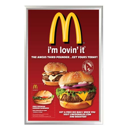 20x30 Euro Security Snap Frame Poster Sign Holder | Silver Metal Frame Finish with Frame Lever Tool