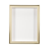 SwingFrame Designer, Swing Open, Metal Framed Shadow Box 2" Deep in 12 Sizes and Custom