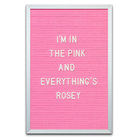 PINK FELT LETTER BOARD