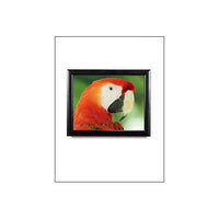 Super Wide-Face LED SwingFrame Lightboxes Edge-Lit in 5 Poster Sizes
