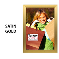 SwingSnap Extra Large Front Loading Poster Snap Frames 2 1/2" Wide Edge Profile in 25+ Sizes & Custom