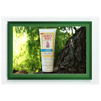 DARK GREEN WOOD FRAME with DECORATIVE WILLIAMSBURG GREEN MAT BORDER